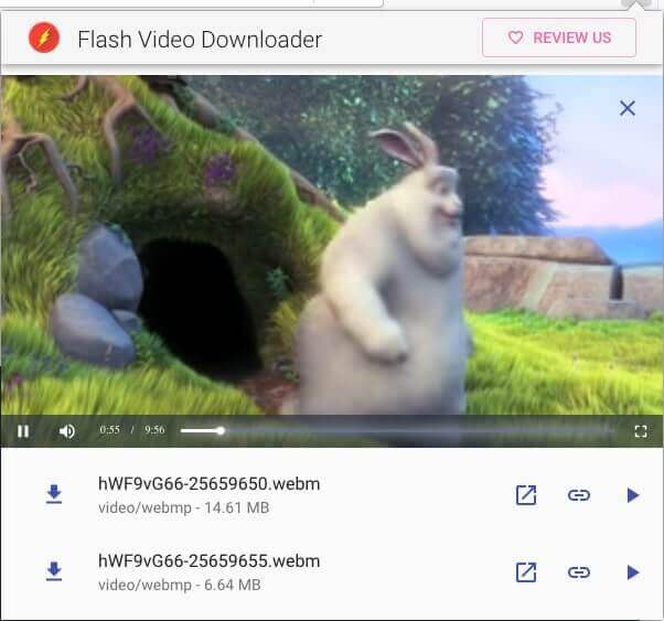 Firefox 版Flash 影片下載器
